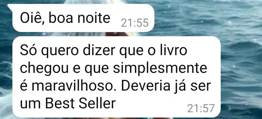 Livro Academia do Desenvolvimento Pessoal - print 1