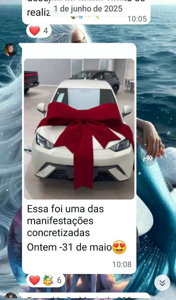 Mentoria dos Sonhos - print 1