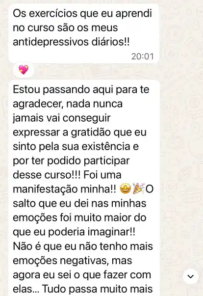 Curso Psicologia Positiva e Inteligência Emocional - print 17