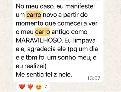 Curso Psicologia Positiva e Inteligência Emocional - print 31