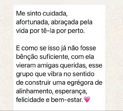 Curso Psicologia Positiva e Inteligência Emocional - print 38