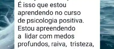 Curso Psicologia Positiva e Inteligência Emocional - print 61